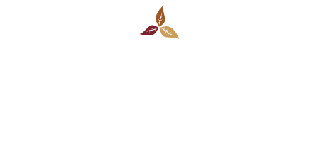 wholesale-bnbtobacco
